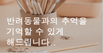 라온누리반려동물,추억,기억